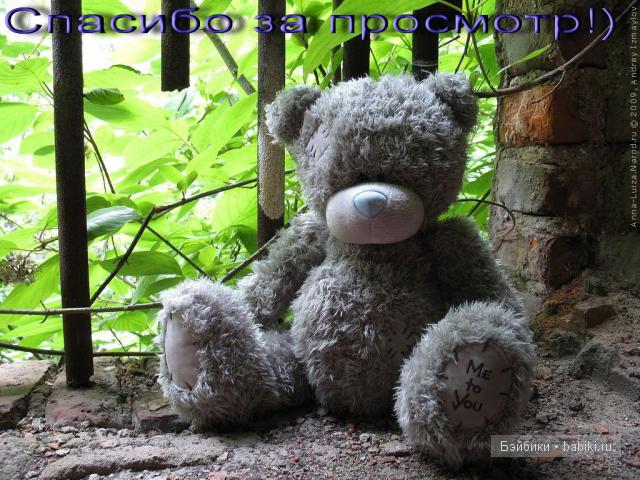 Представляю своих мишек - Тедди (фото 9)