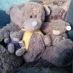 Представляю своих мишек - Тедди