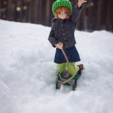 Любишь кататься - люби и саночки возить