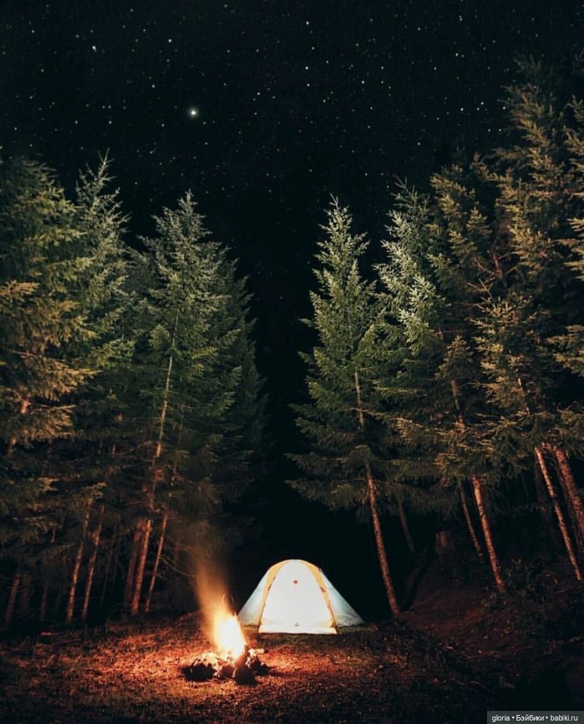 Глава 12.◈Tenebrarum occurrens◈ | Бэйбики Глава 12.◈Tenebrarum occurrens◈ (фото 6)