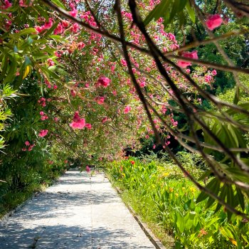 Санни в отпуске. 🌸Дендрарий🌸