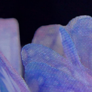 🖤ФОТОСЕССИЯ 3: "Mad Hatter"🖤