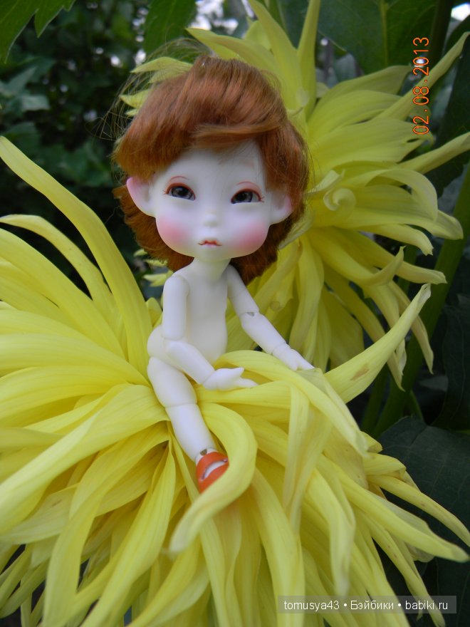 Monthly Fairy - Woody