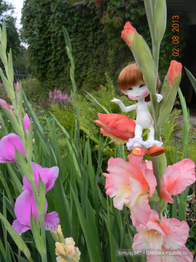 Monthly Fairy - Woody