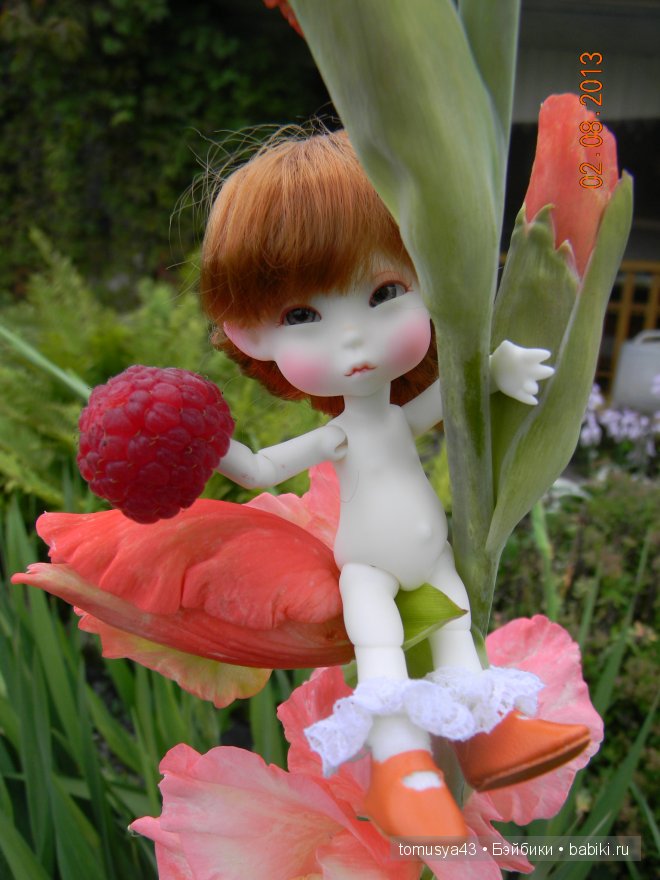Monthly Fairy - Woody