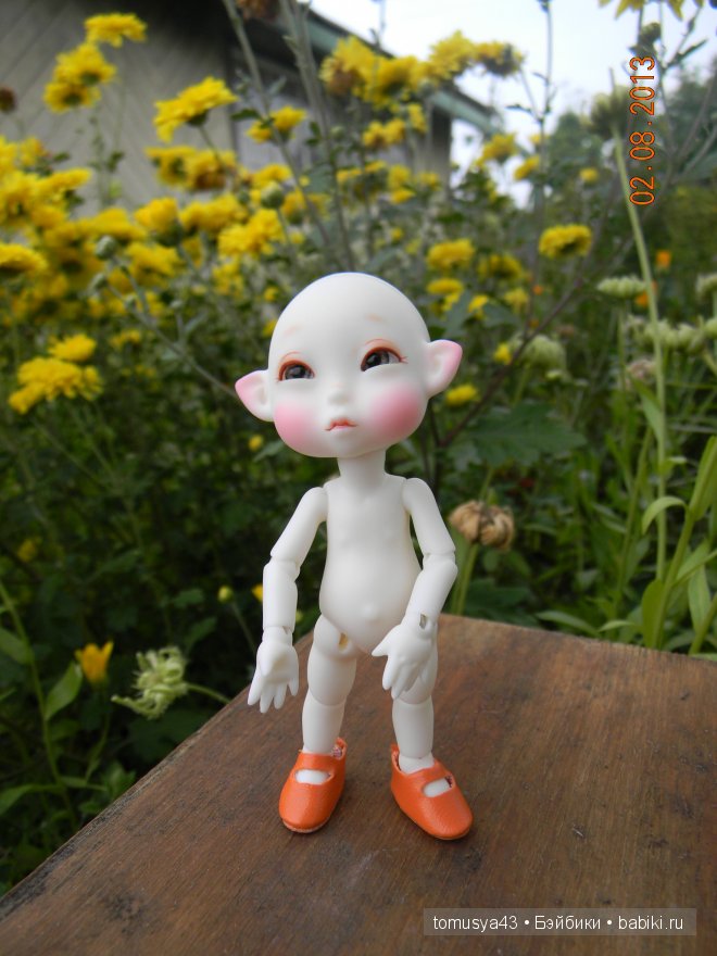 Monthly Fairy - Woody