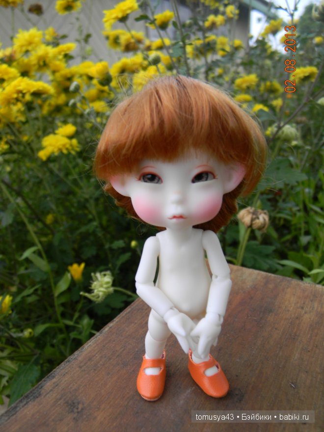 Monthly Fairy - Woody