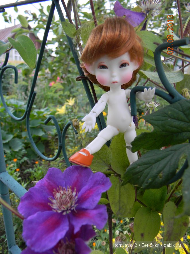 Monthly Fairy - Woody