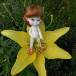 Появление в моей семье куколок БЖД смешной малышки. Monthly Fairy - Woody