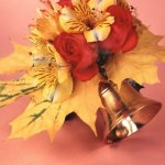 С Днём знаний!!!