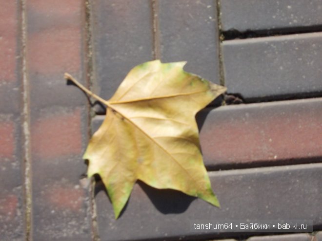 "Девочка-Осень" или новое платье Доротеи от Heidi Plusczok (фото 2)