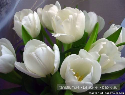 Легенда о тюльпане от Катерины Heidi Plusczok (фото 7)