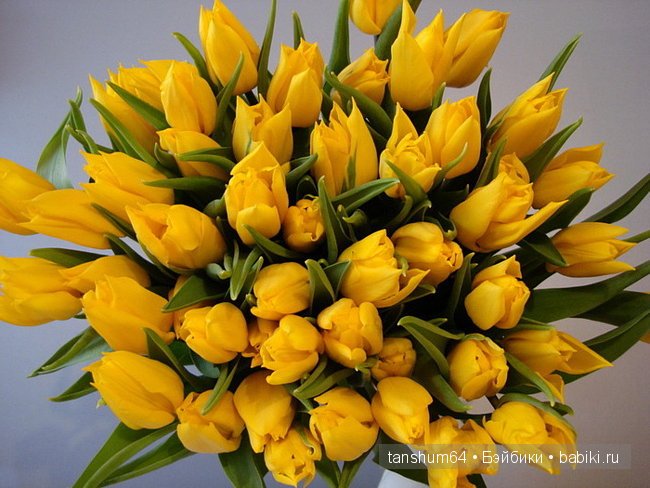 Легенда о тюльпане от Катерины Heidi Plusczok (фото 5)