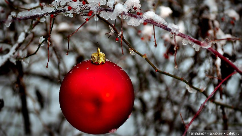 Помощники Санты... какие они