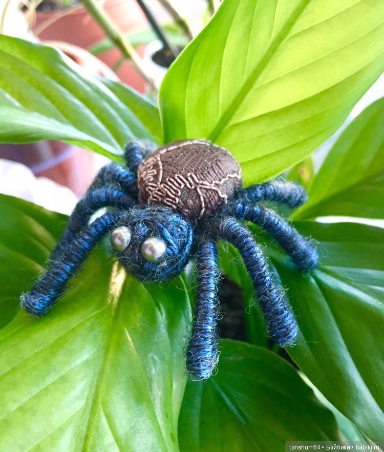 А у нас снова паучата — Другие хобби и увлечения: сад (фото 9)