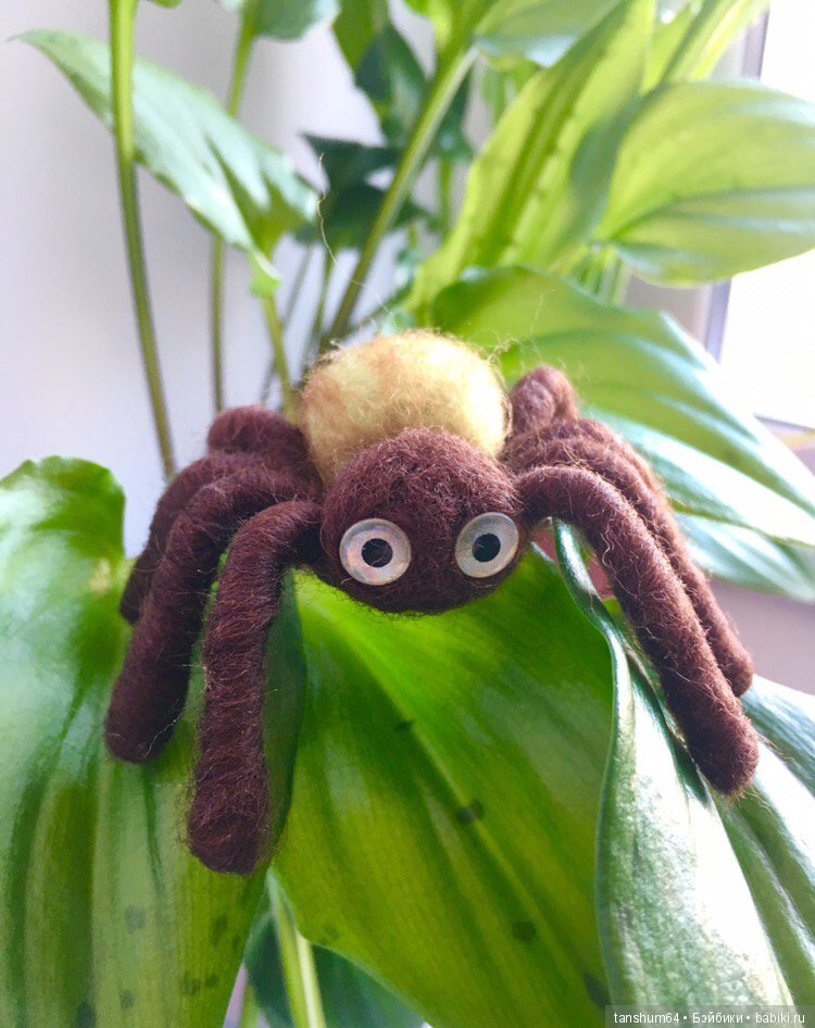 А у нас снова паучата — Другие хобби и увлечения: сад