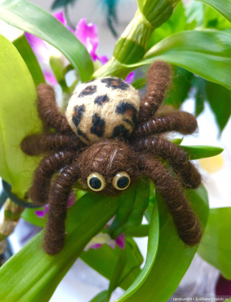 А у нас снова паучата — Другие хобби и увлечения: сад (фото 4)