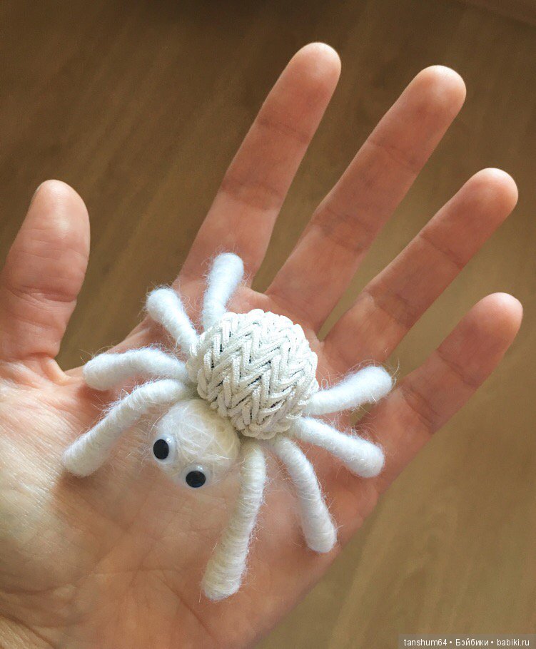 А у нас снова паучата — Другие хобби и увлечения: сад (фото 3)