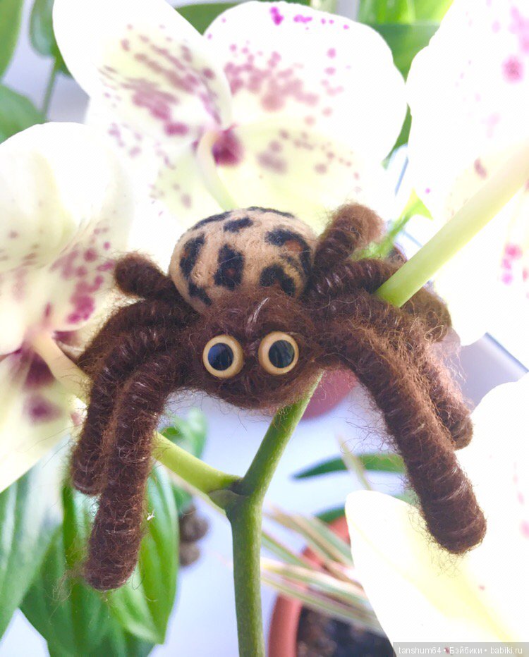 А у нас снова паучата — Другие хобби и увлечения: сад (фото 7)