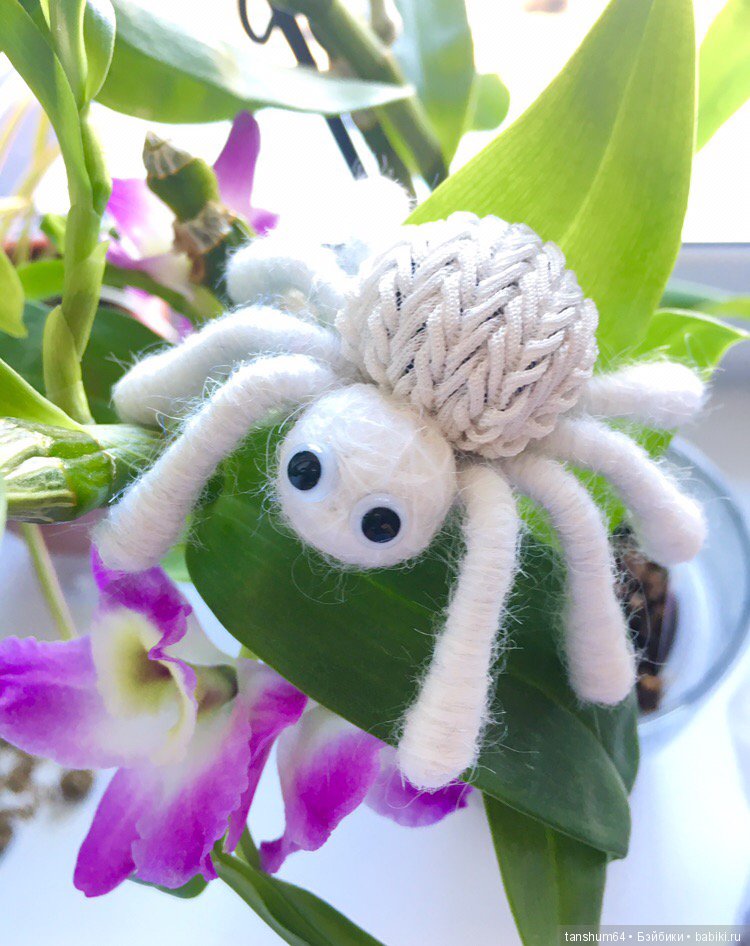 А у нас снова паучата — Другие хобби и увлечения: сад