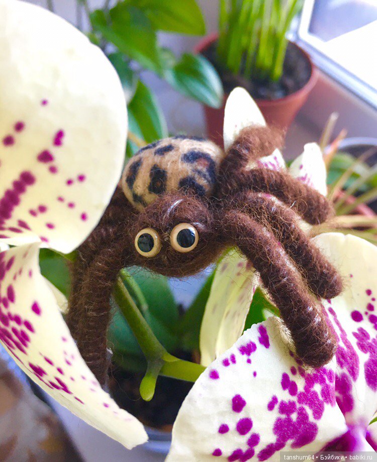 А у нас снова паучата — Другие хобби и увлечения: сад (фото 6)