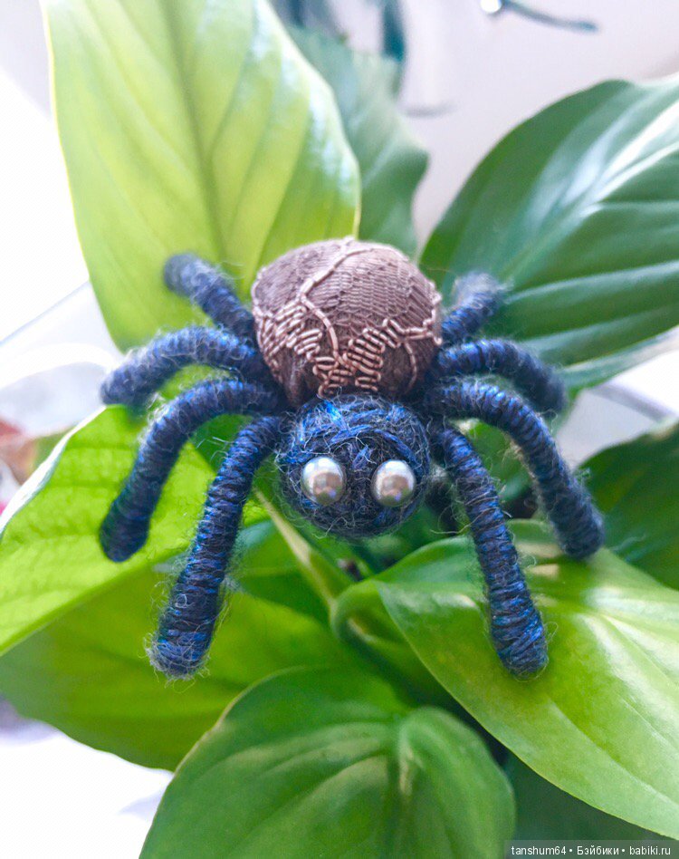 А у нас снова паучата — Другие хобби и увлечения: сад