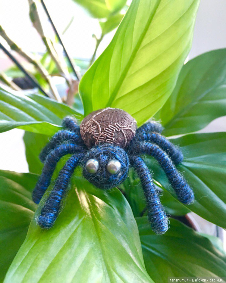 А у нас снова паучата — Другие хобби и увлечения: сад (фото 10)