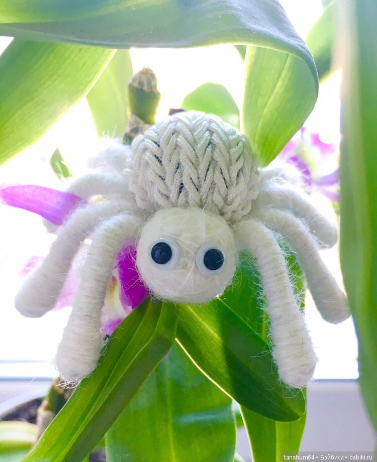 А у нас снова паучата — Другие хобби и увлечения: сад (фото 2)