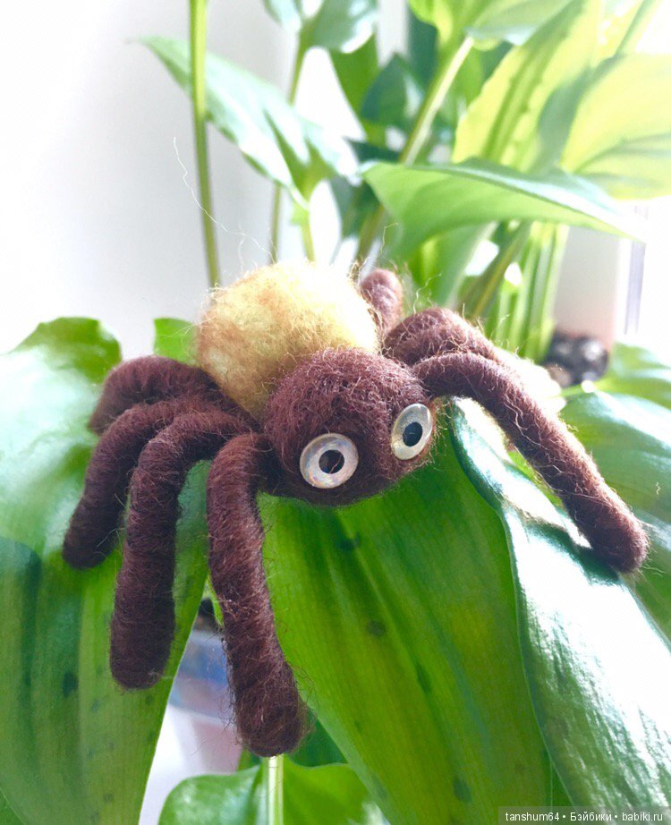 А у нас снова паучата — Другие хобби и увлечения: сад