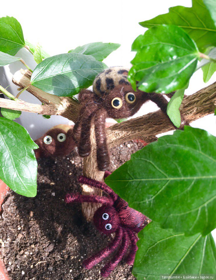 Позитивный паучиный десант-2 (фото 8)