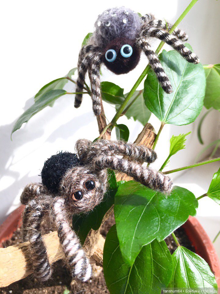 Позитивный паучиный десант-2 (фото 2)