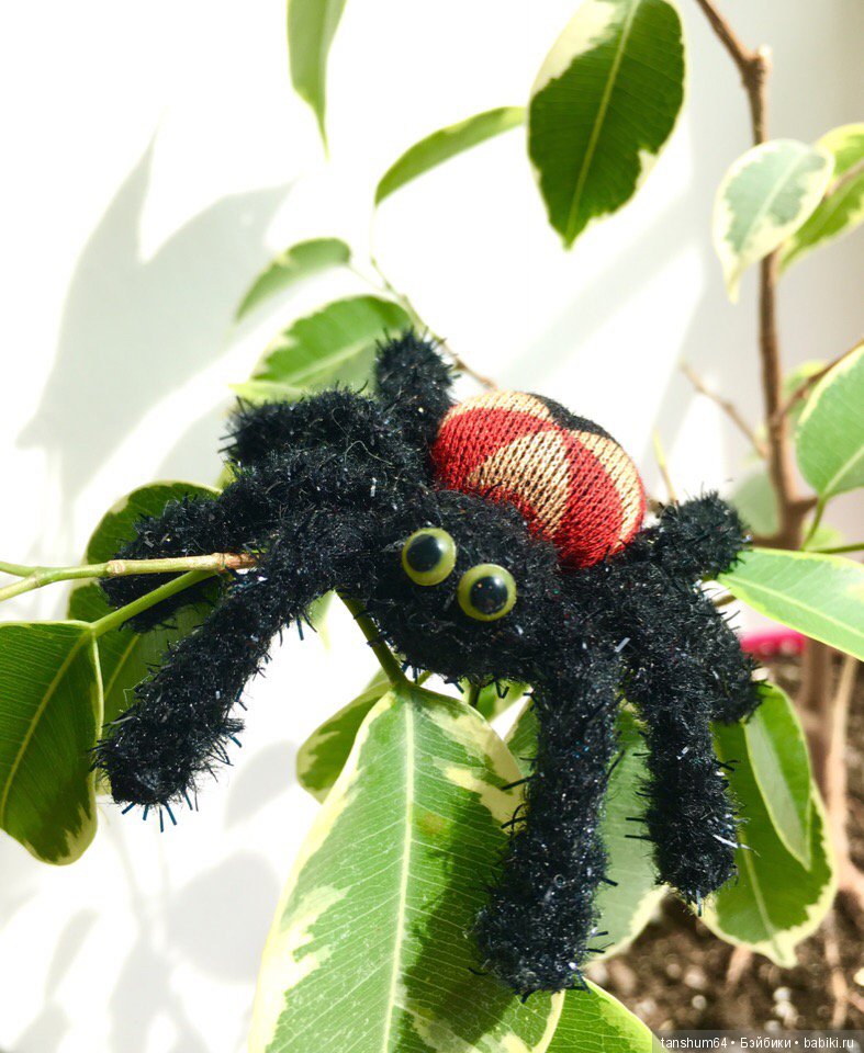 Позитивный паучиный десант-2 (фото 4)