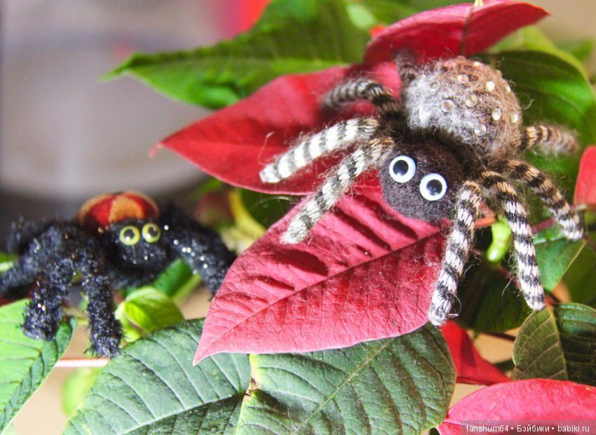 Позитивный паучиный десант-2