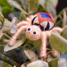 Позитивный паучиный десант-2