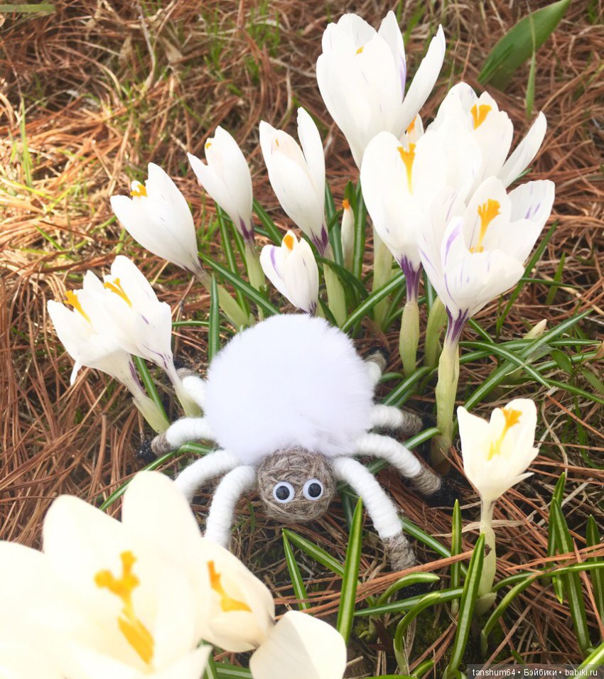 Новые приключения паучат — Авторские игрушки из разных материалов: синельная проволока