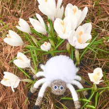 Новые приключения паучат