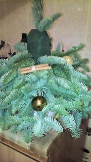 Ёлочке не холодно зимой или Нобилис делится веточками (фото 6)