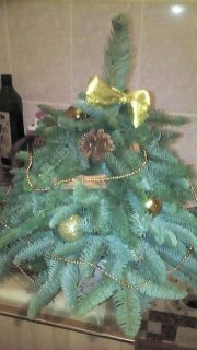 Ёлочке не холодно зимой или Нобилис делится веточками (фото 9)