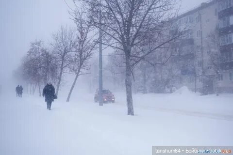 Паучата в затерянном городе или новые приключения