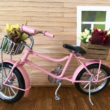 Жил был велосипед