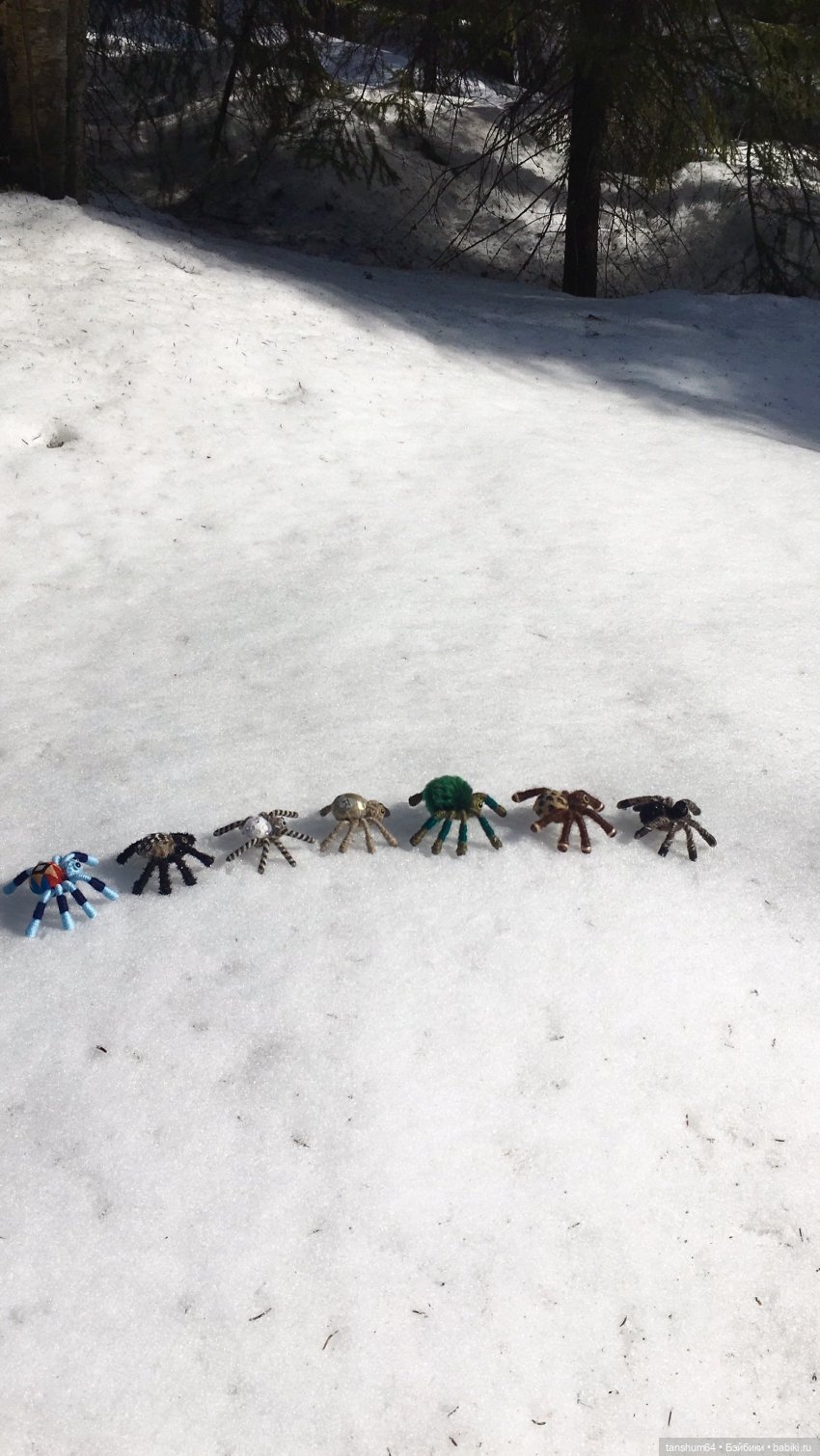 Как паучата хотели весну отыскать (фото 7)