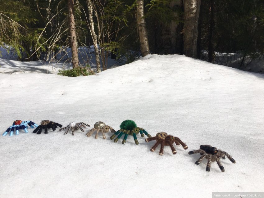 Как паучата хотели весну отыскать