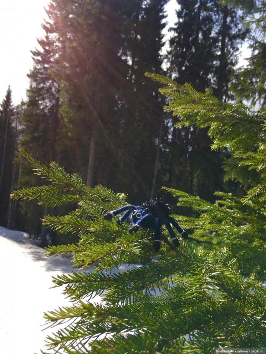 Как паучата хотели весну отыскать (фото 5)