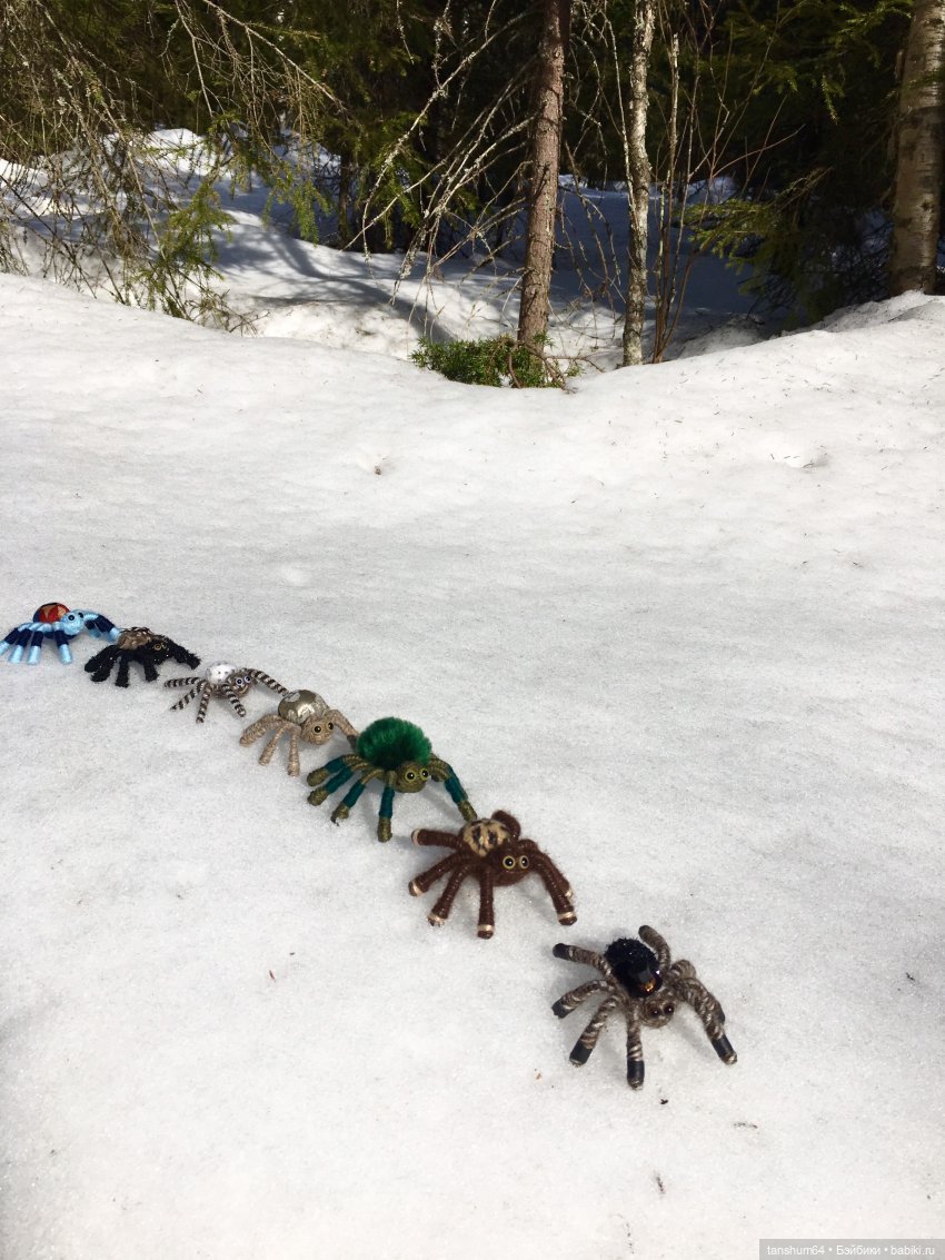 Как паучата хотели весну отыскать (фото 2)