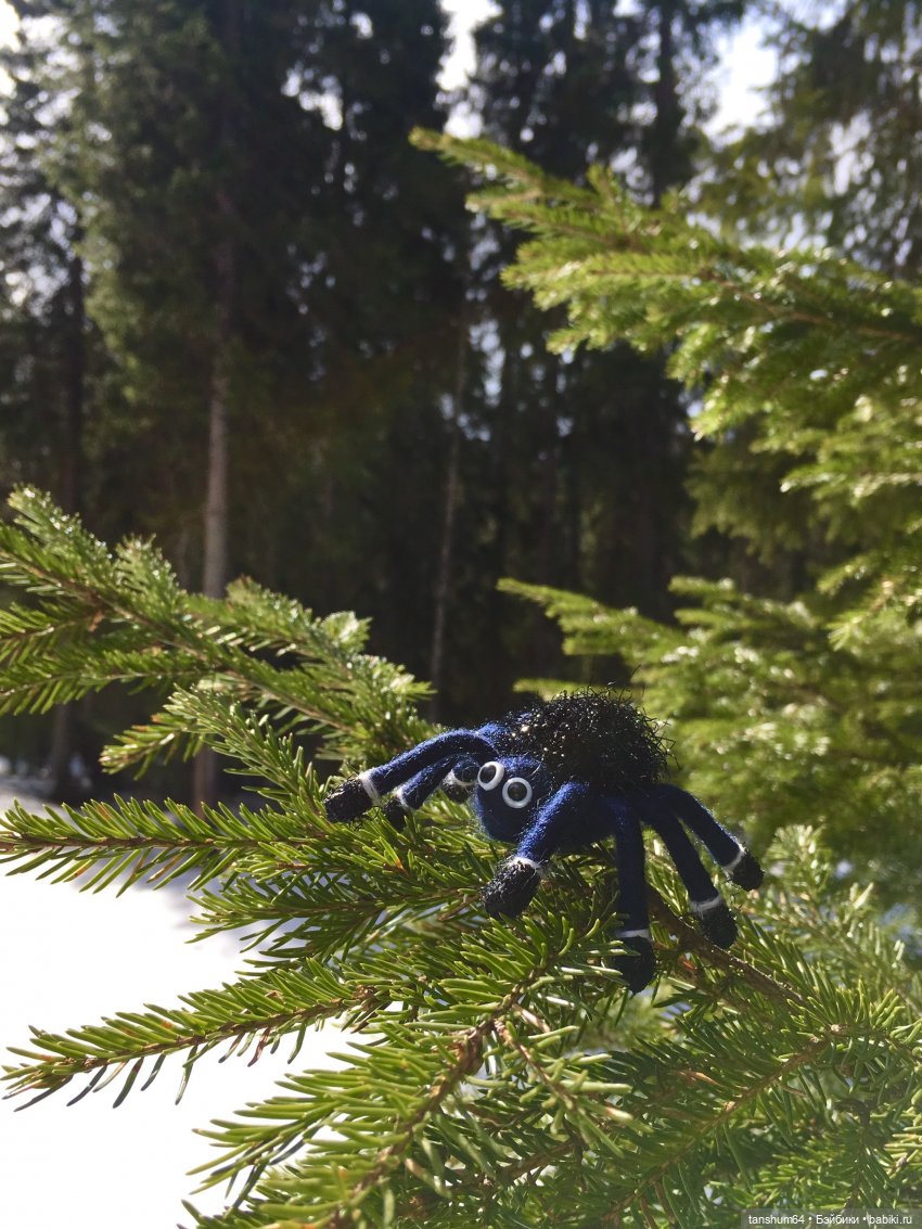 Как паучата хотели весну отыскать (фото 4)