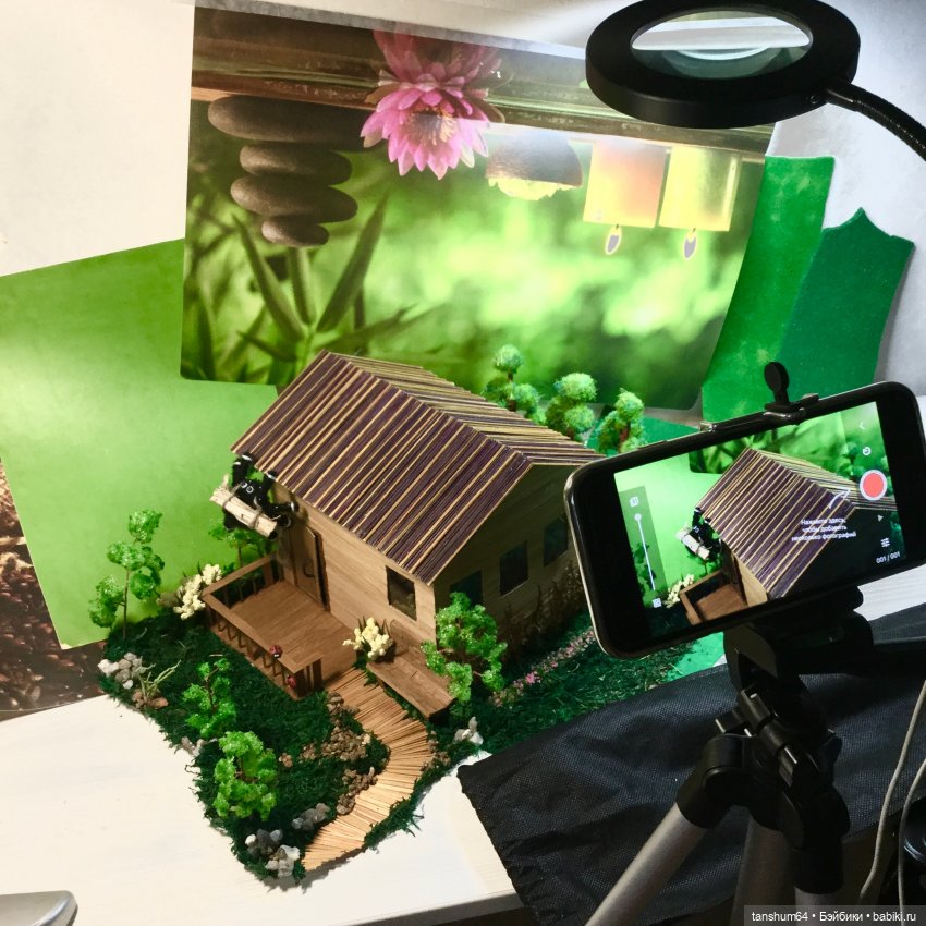 Дачник (как паучок Василий стал героем мультика)