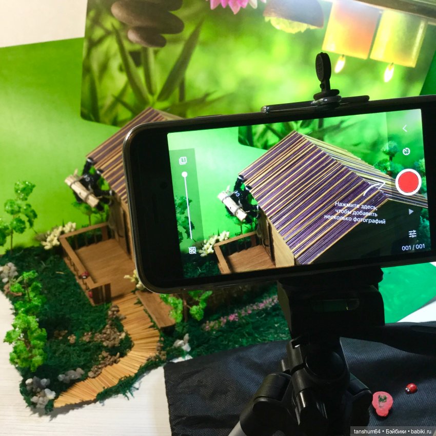 Дачник (как паучок Василий стал героем мультика) (фото 3)