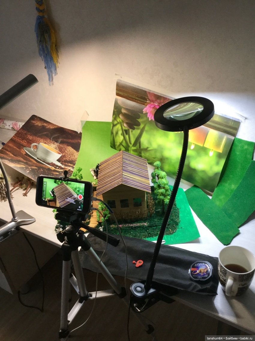 Дачник (как паучок Василий стал героем мультика) (фото 2)