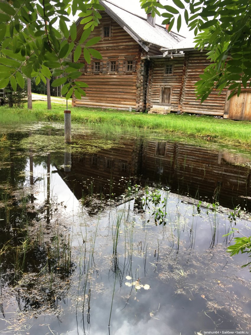 Капризное северное лето (продолжение) | Бэйбики Капризное северное лето (продолжение) (фото 3)