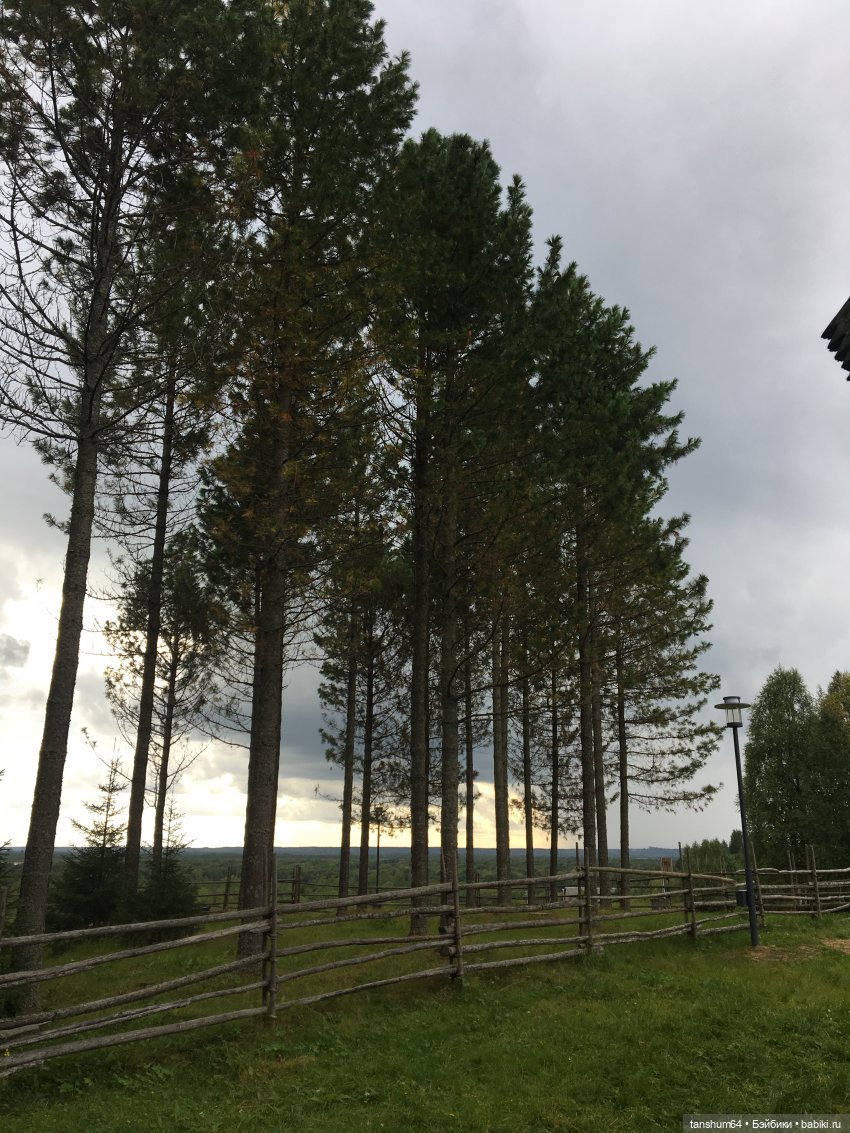 Капризное северное лето (продолжение) | Бэйбики Капризное северное лето (продолжение)